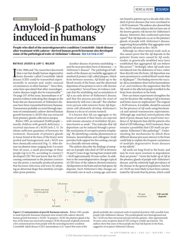 Amyloid-Β Pathology Induced in Humans