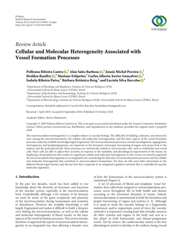 Cellular and Molecular Heterogeneity Associated with Vessel Formation Processes