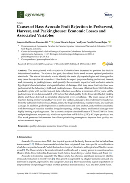 Causes of Hass Avocado Fruit Rejection in Preharvest, Harvest, and Packinghouse: Economic Losses and Associated Variables