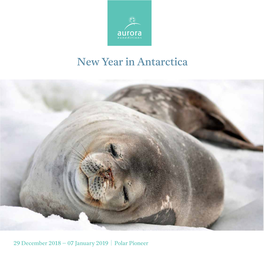 New Year in Antarctica