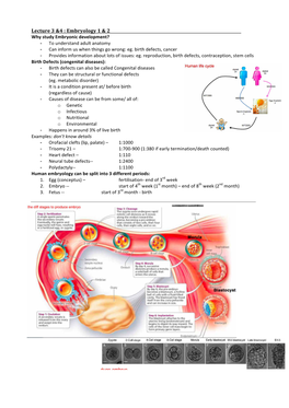 Embryology 1 & 2