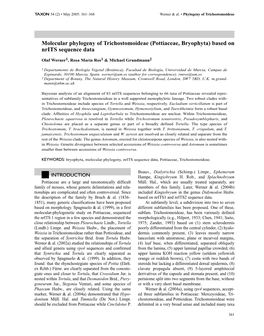 (Pottiaceae, Bryophyta) Based on Nrits Sequence Data