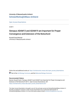 Xenopus ADAM13 and ADAM19 Are Important for Proper Convergence and Extension of the Notochord