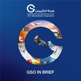 GSO-In-Brief.Pdf