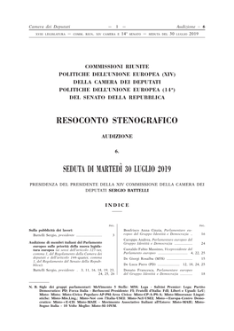 Stenografico N. 6