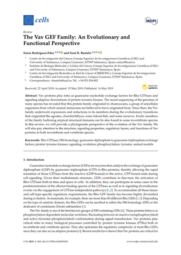 The Vav GEF Family: an Evolutionary and Functional Perspective