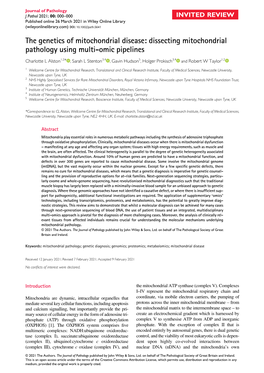 Dissecting Mitochondrial Pathology Using Multi‐Omic Pipelines