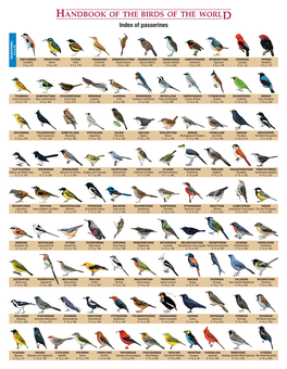 Index of Passerines