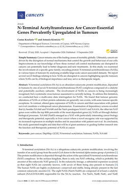 N-Terminal Acetyltransferases Are Cancer-Essential Genes Prevalently Upregulated in Tumours