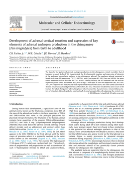 Development of Adrenal Cortical Zonation and Expression of Key Elements of Adrenal Androgen Production in the Chimpanzee (Pan Troglodytes) from Birth to Adulthood