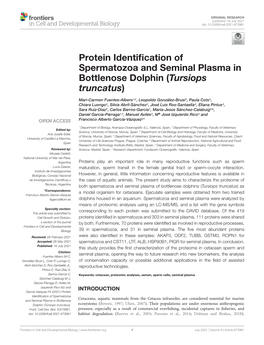 Protein Identification of Spermatozoa and Seminal Plasma in Bottlenose