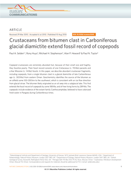 Crustaceans from Bitumen Clast in Carboniferous Glacial Diamictite Extend Fossil Record of Copepods