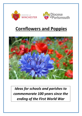 Cornflowers and Poppies