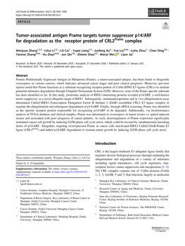 Tumor-Associated Antigen Prame Targets Tumor Suppressor P14/ARF for Degradation As the Receptor Protein of Crl2prame Complex