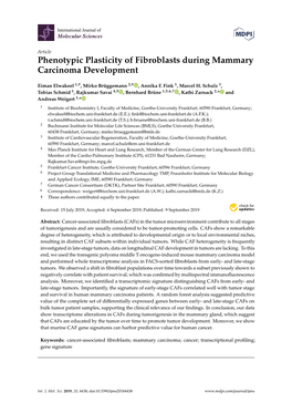 Phenotypic Plasticity of Fibroblasts During Mammary Carcinoma Development