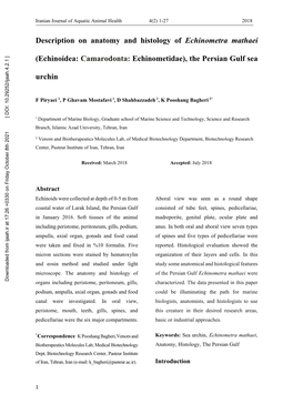 Description on Anatomy and Histology of Echinometra Mathaei (Echinoidea: Camarodonta: Echinometidae), the Persian Gulf Sea Urchi