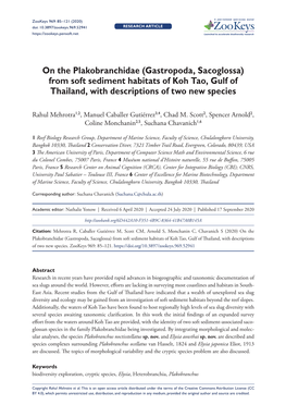 Gastropoda, Sacoglossa) from Soft Sediment Habitats of Koh Tao, Gulf of Thailand, with Descriptions of Two New Species