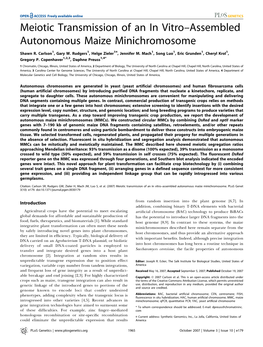 Meiotic Transmission of an in Vitro–Assembled Autonomous Maize Minichromosome