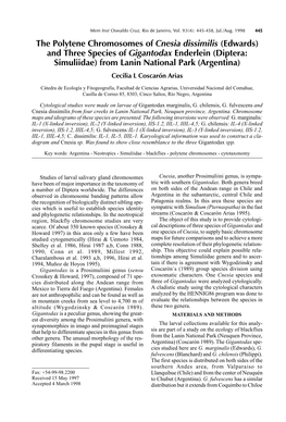 The Polytene Chromosomes of Cnesia Dissimilis (Edwards) And