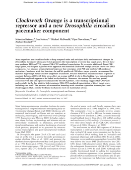 Clockwork Orange Is a Transcriptional Repressor and a New Drosophila Circadian Pacemaker Component