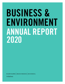 Annual Report (Pdf)