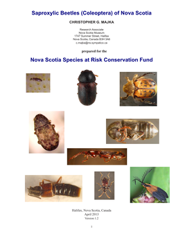 Saproxylic Beetles (Coleoptera) of Nova Scotia