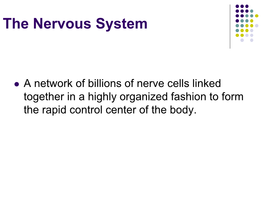 The Nervous System