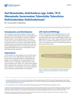 Awl Nematodes, Dolichodorus Spp. Cobb, 1914 (Nematoda: Secernentea: Tylenchida: Tylenchina: Dolichodoridae: Dolichodorinae)1 W