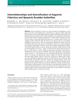 Argynnis and Speyeria Diversification 3