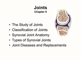 Joints Chapter 9