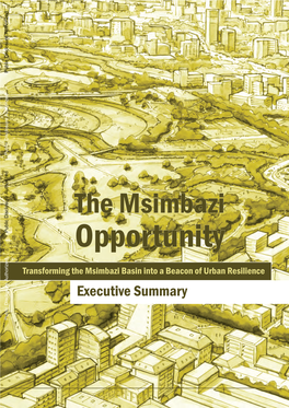 The Msimbazi Public Disclosure Authorized Opportunity