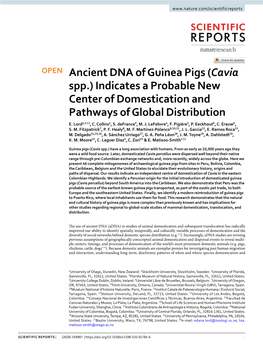 Ancient DNA of Guinea Pigs (Cavia Spp.) Indicates a Probable New Center of Domestication and Pathways of Global Distribution E