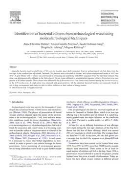Identification of Bacterial Cultures from Archaeological Wood Using Molecular Biological Techniques