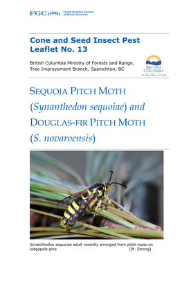(Synanthedon Sequoiae) and DOUGLAS-FIR PITCH MOTH (S