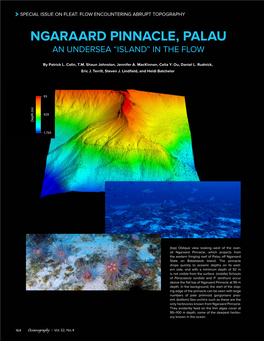 Ngaraard Pinnacle, Palau an Undersea “Island” in the Flow