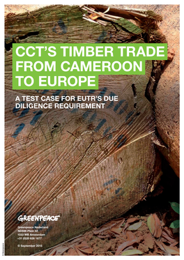 Cct's Timber Trade from Cameroon to Europe