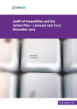 Audit of Inequalities and S75 Action Plan 2017-2019