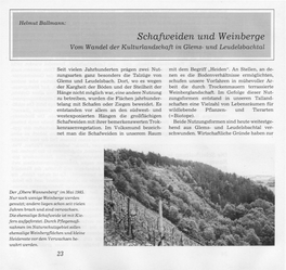 Schafweiden Und Weinberge Vom Wandel Der Kulturlandschaft in Glems- Und Leudelsbachtal
