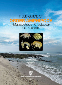 ORDER AMPHIPODA (Malacostraca, Crustacea) of KUWAIT