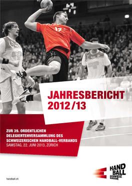 Jahresbericht 2012/13 Ist Online Auf Der Website Des Partner SHV Verfügbar: Inhaltsverzeichnis