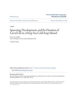 Spawning, Development, and the Duration of Larval Life in a Deep-Sea Cold-Seep Mussel Shawn M