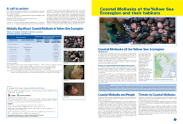 Coastal Mollusks of the Yellow Sea Ecoregion and Their Habitats