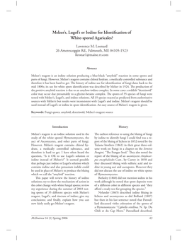 Melzer's, Lugol's Or Iodine for Identification of White-Spored Agaricales?