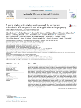 Phylogenetic–Phylogenomic Approach for Species Tree Estimation in African Agama Lizards with Applications to Biogeography, Character Evolution, and Diversiﬁcation