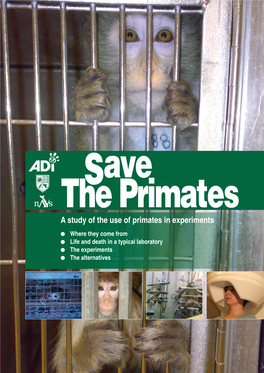 A Study of the Use of Primates in Experiments