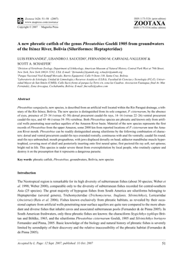 Zootaxa,A New Phreatic Catfish of the Genus Phreatobius Goeldi 1905 from Groundwaters