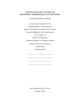 Cryptanalytic Study of Property-Preserving Encryption