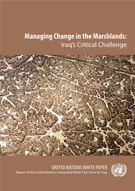 Managing Change in the Marshlands: Iraq’S Critical Challenge