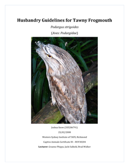 Husbandry Guidelines for Tawny Frogmouth Podargus Strigoides (Aves: Podargidae)