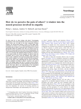 A Window Into the Neural Processes Involved in Empathy
